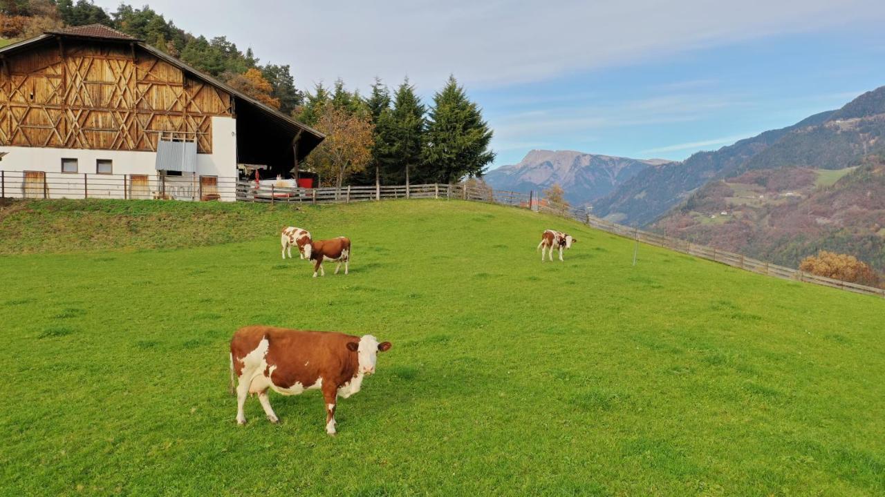 Ferienwohnung Unterkofler San Genesio Atesino Exterior foto